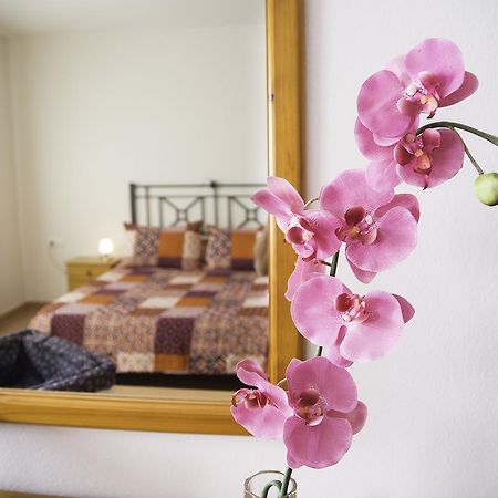 Apartamento con ascensor Gran Tarajal Playa Exterior foto